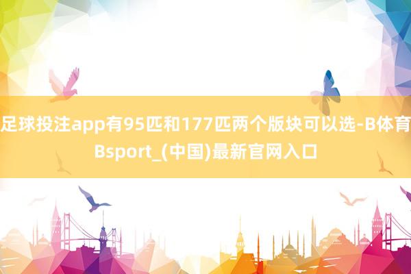 足球投注app有95匹和177匹两个版块可以选-B体育Bsport_(中国)最新官网入口