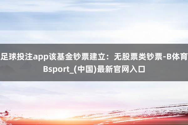 足球投注app该基金钞票建立：无股票类钞票-B体育Bsport_(中国)最新官网入口