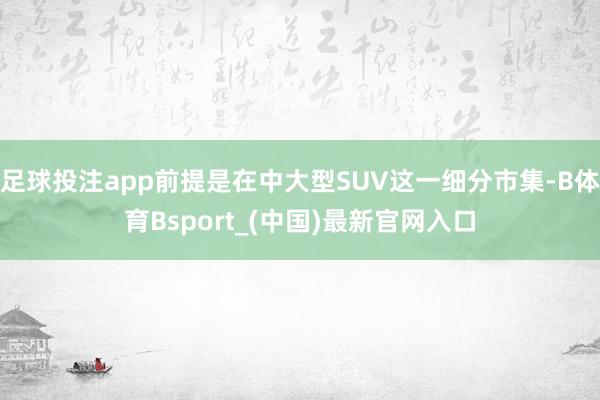 足球投注app前提是在中大型SUV这一细分市集-B体育Bsport_(中国)最新官网入口