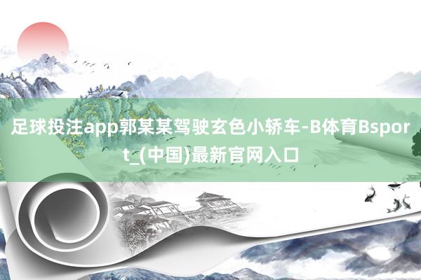 足球投注app郭某某驾驶玄色小轿车-B体育Bsport_(中国)最新官网入口