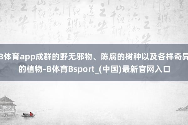 B体育app成群的野无邪物、陈腐的树种以及各样奇异的植物-B体育Bsport_(中国)最新官网入口