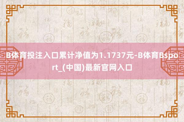 B体育投注入口累计净值为1.1737元-B体育Bsport_(中国)最新官网入口