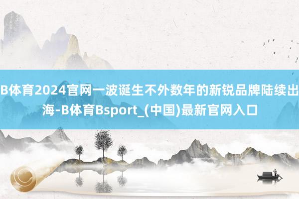 B体育2024官网一波诞生不外数年的新锐品牌陆续出海-B体育Bsport_(中国)最新官网入口