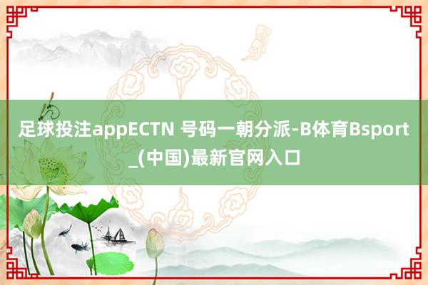 足球投注appECTN 号码一朝分派-B体育Bsport_(中国)最新官网入口