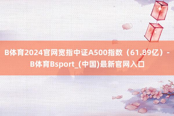 B体育2024官网宽指中证A500指数（61.89亿）-B体育Bsport_(中国)最新官网入口