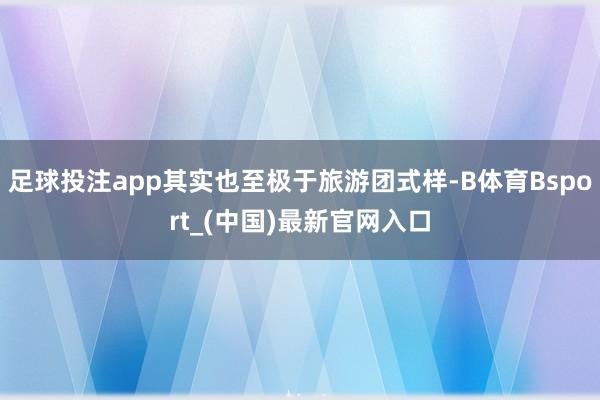 足球投注app其实也至极于旅游团式样-B体育Bsport_(中国)最新官网入口