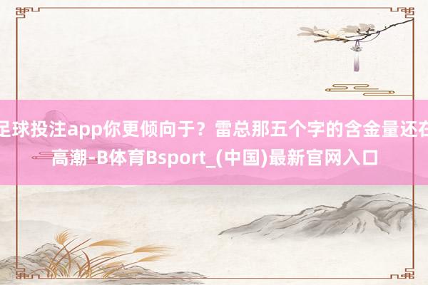 足球投注app你更倾向于？雷总那五个字的含金量还在高潮-B体育Bsport_(中国)最新官网入口