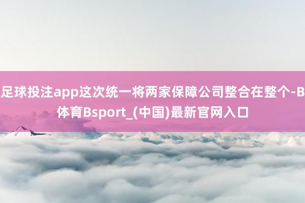 足球投注app这次统一将两家保障公司整合在整个-B体育Bsport_(中国)最新官网入口