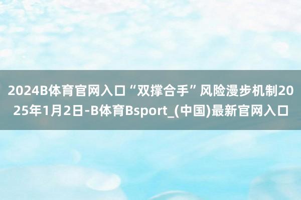 2024B体育官网入口　　“双撑合手”风险漫步机制　　2025年1月2日-B体育Bsport_(中国)最新官网入口