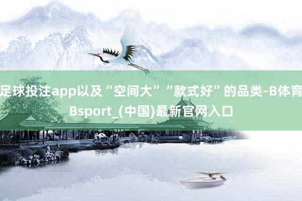 足球投注app以及“空间大”“款式好”的品类-B体育Bsport_(中国)最新官网入口